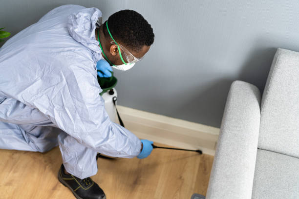 Professional Pest Control in Interlachen, FL